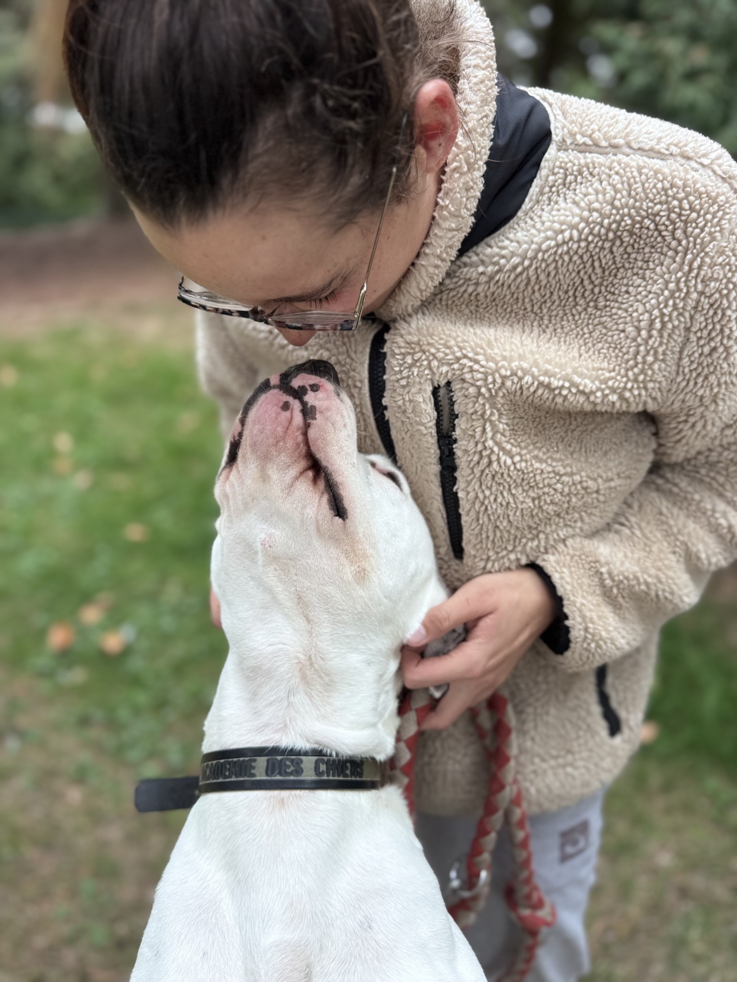 Photo de l'animal à adopté